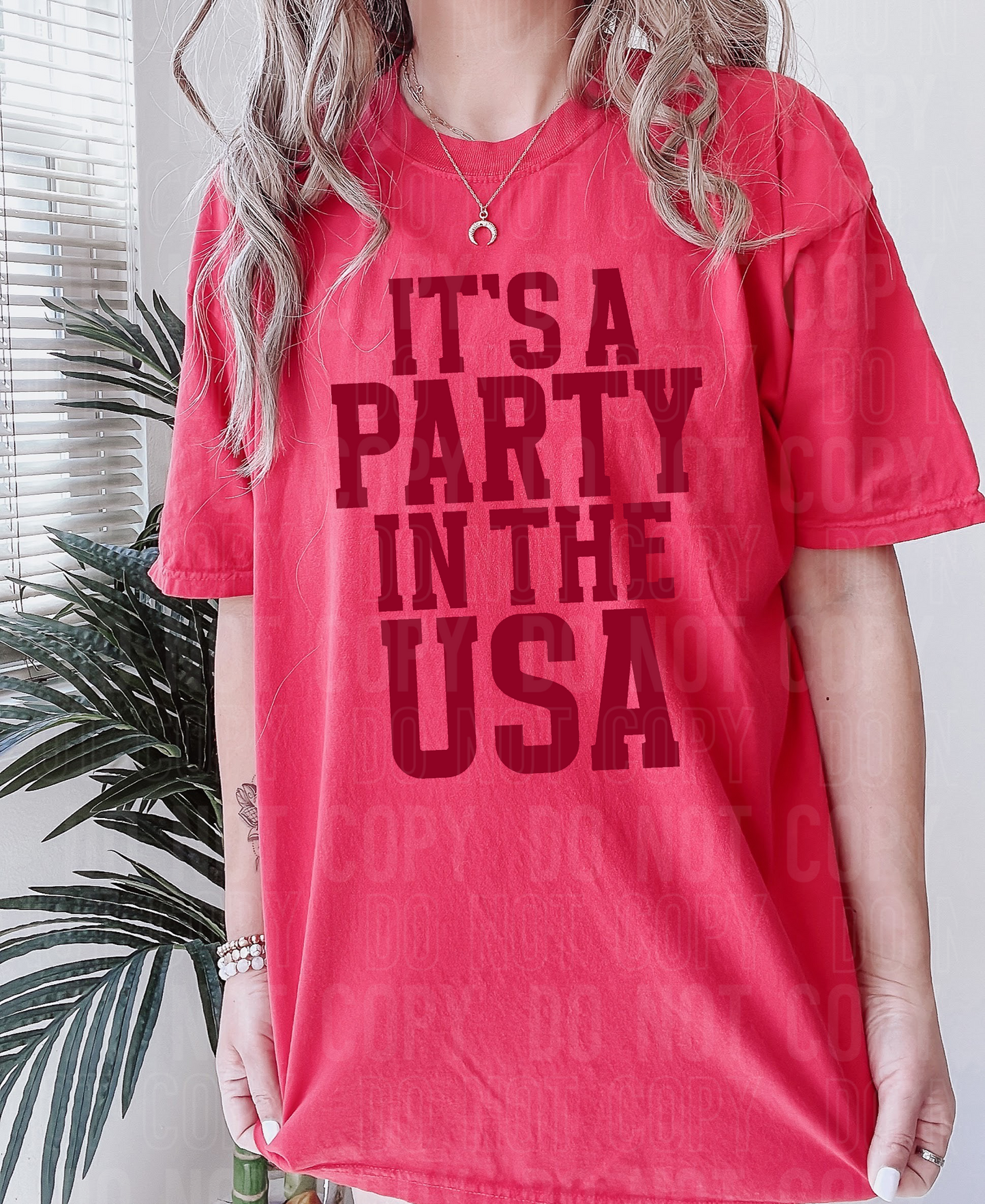 It's a party usa- Summer - 2023- PNG file- Digital Download