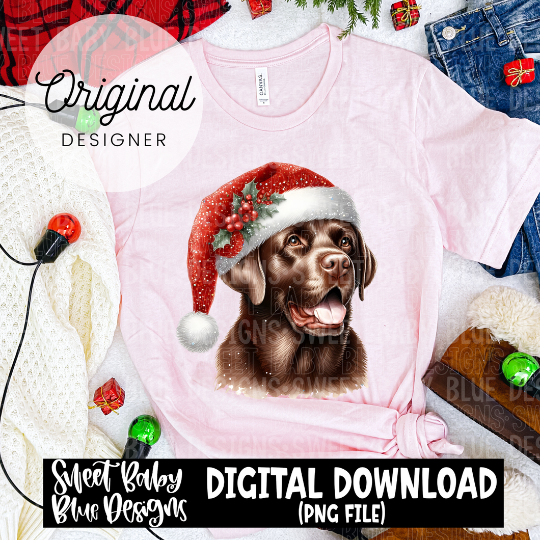 Christmas Chocolate Lab - 2024 - PNG file- Digital Download