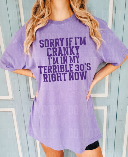 Sorry if I'm cranky I'm in my terrible 30s right now- 2023- PNG file- Digital Download