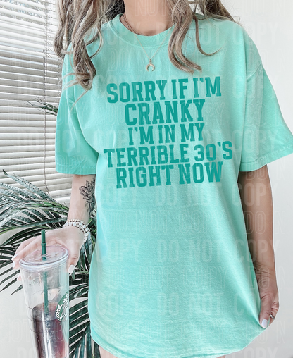 Sorry if I'm cranky I'm in my terrible 30s right now- 2023- PNG file- Digital Download