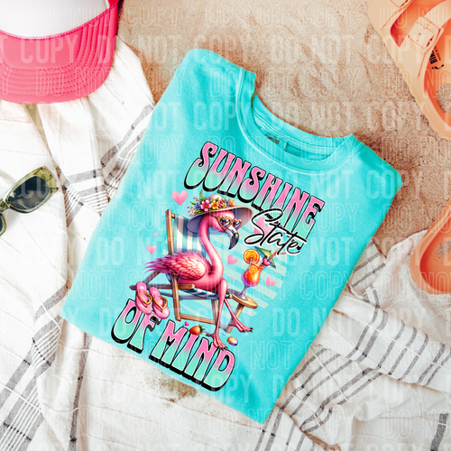Sunshine state of mind - SEMI EXCLUSIVE DESIGN- 4 AVAILABLE - 2025 - PNG file- Digital Download
